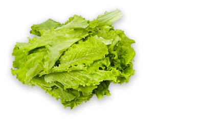 monyk-oKrabicke-salat