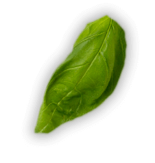 monyk-oKrabicke-bazalka2